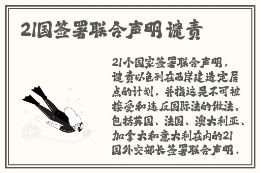 清一区二区国产好的精华液