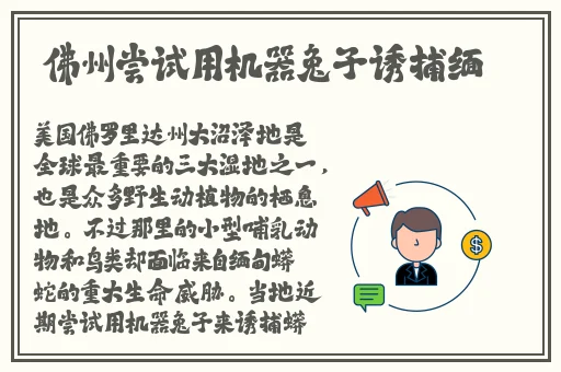 国产与进口x7x7x7槽比较